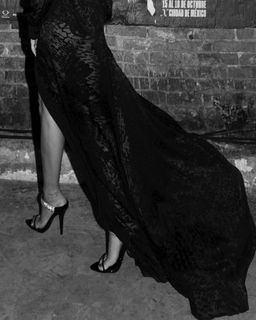 Paulina Goto feet photo 19