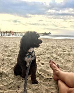 Paulina Granados feet photo 14