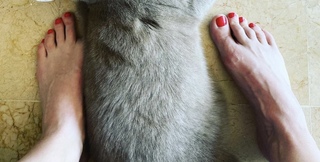 Paulina Holtz feet photo 15