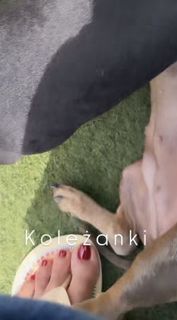 Paulina Krupinska feet photo 5