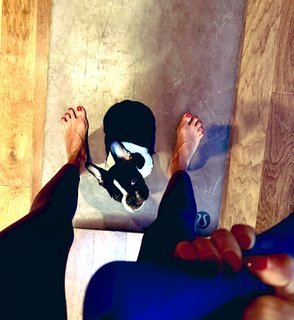 Paulina Mercado feet photo thumbnail