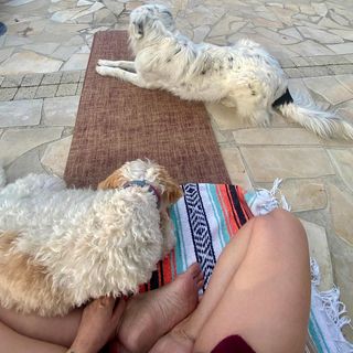 Paulina Mlynarska feet photo 1