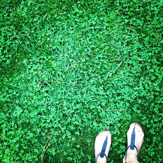Pauline Lefèvre feet photo 7