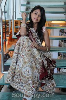 Payal Ghosh feet photo 9