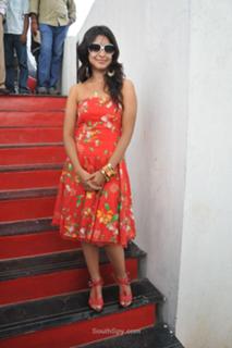 Payal Ghosh feet photo 3