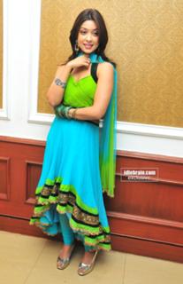 Payal Ghosh feet photo 18