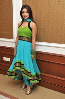 Payal Ghosh feet photo 17