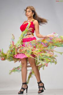 Payal Ghosh feet photo 11
