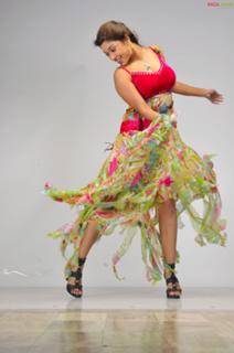 Payal Ghosh feet photo 10