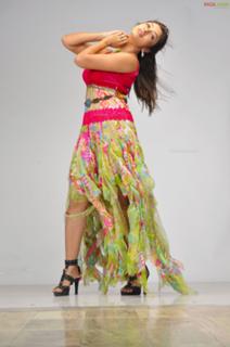 Payal Ghosh feet photo 8