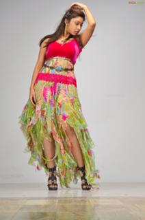 Payal Ghosh feet photo 7