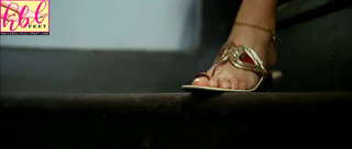 Payal Ghosh feet photo 17