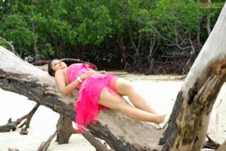 Payal Ghosh feet photo 3