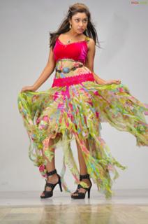 Payal Ghosh feet photo 8