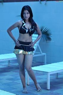 Payal Ghosh feet photo 4