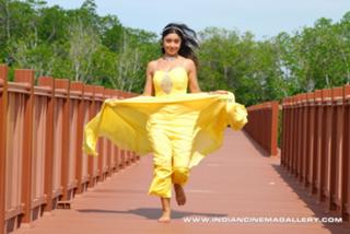 Payal Ghosh feet photo 15
