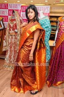 Payal Ghosh feet photo 18