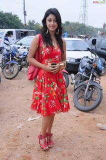 Payal Ghosh feet photo 14