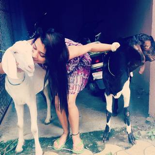 Payal Rajput feet photo 18