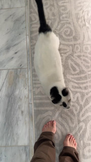 PeachJars feet photo thumbnail