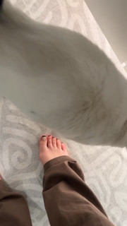 PeachJars feet photo thumbnail