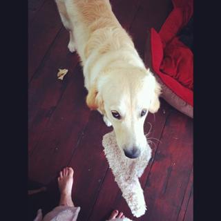 Peaches Geldof feet photo 18