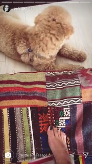 Pelin Akil feet photo thumbnail