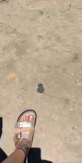 Penelope Anastasopoulou feet photo 12