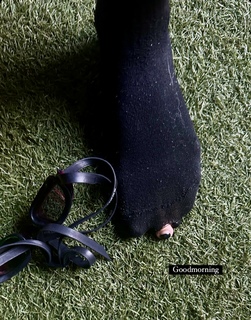 Penny Oleksiak feet photo 7