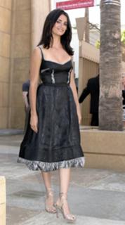 Penélope Cruz feet photo thumbnail