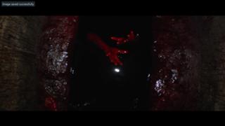 Perdita Weeks feet photo thumbnail