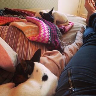 Pernilla Wahlgren feet photo 9