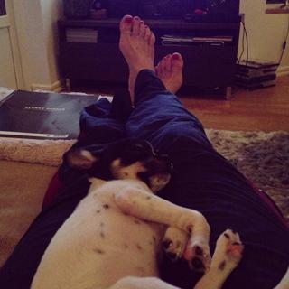 Pernilla Wahlgren feet photo 7