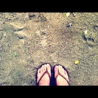 Pevita Pearce feet photo 12