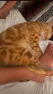 Peyton Coffee feet photo thumbnail