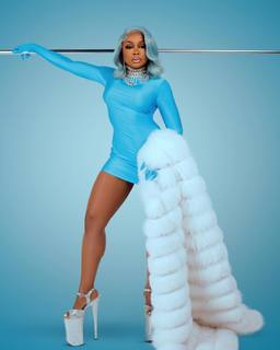Phaedra Parks feet photo 19