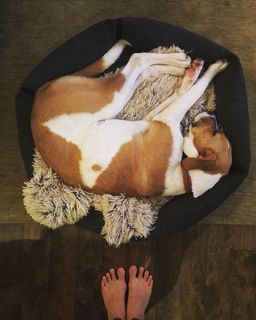 Phillipa Soo feet photo 20