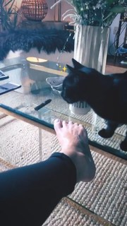 Phoebe Tonkin feet photo thumbnail