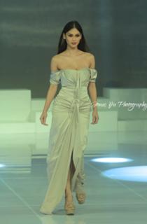 Pia Wurtzbach feet photo 15