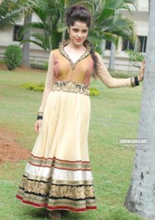 Piaa Bajpai feet photo 8