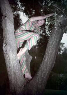 Pier Angeli feet photo 14
