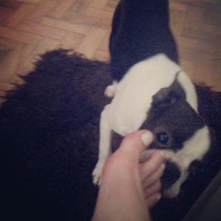 Pietra Príncipe feet photo thumbnail