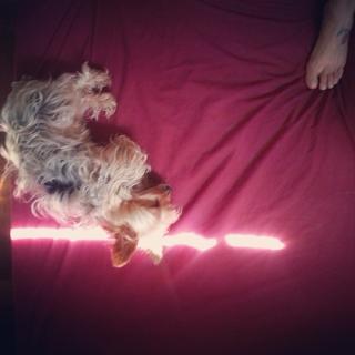 Pietra Príncipe feet photo thumbnail