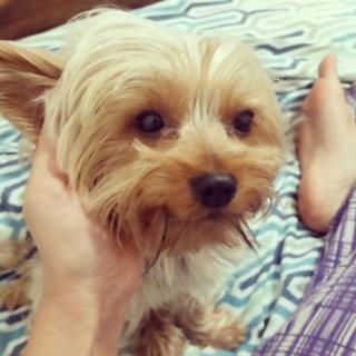 Pietra Príncipe feet photo thumbnail