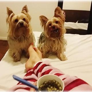 Pietra Príncipe feet photo thumbnail