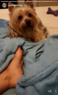 Pietra Príncipe feet photo thumbnail