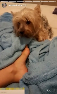 Pietra Príncipe feet photo thumbnail