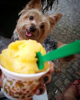 Pietra Príncipe feet photo thumbnail