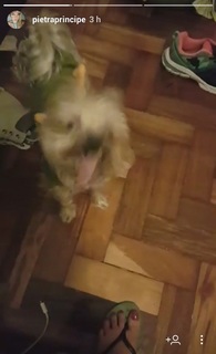 Pietra Príncipe feet photo thumbnail