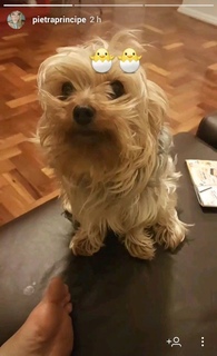 Pietra Príncipe feet photo thumbnail